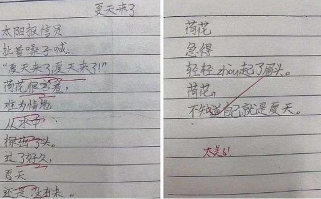 小学生我的理想作文100个字以上,小学作文我的理想作文评语