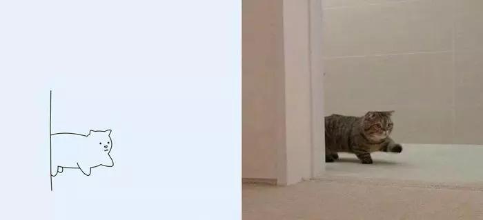 一波可爱动物简笔画,超火的简笔画动图