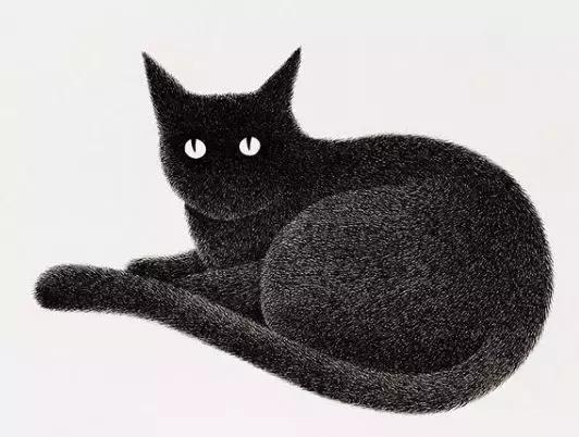 她用2元针管笔作画便惊艳了世界,他用粉笔画了一只猫