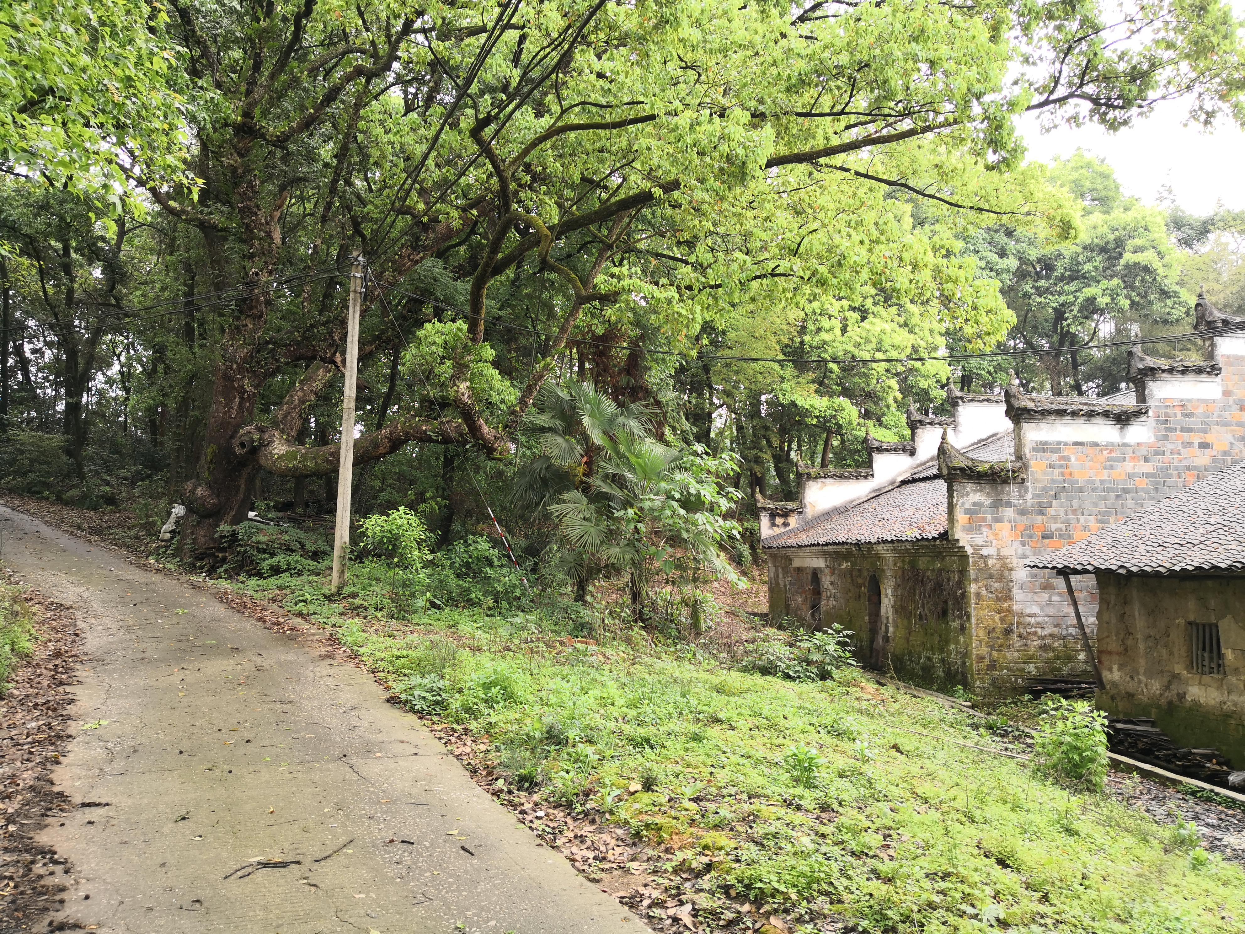 妈妈那边的亲戚称呼大全,山东亲属称呼大全