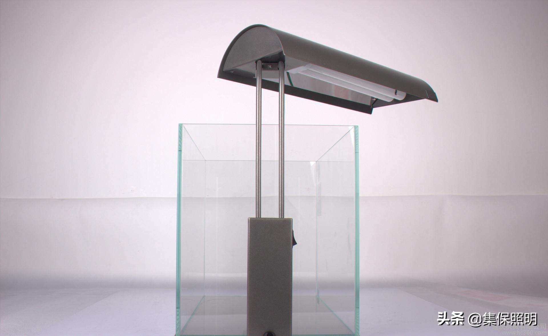 锦鲤怎么养才能长得好看,锦鲤怎样养才养得好看