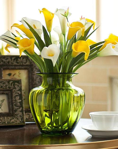 马蹄莲种球放阳台,马蹄莲室内阳台可以养吗