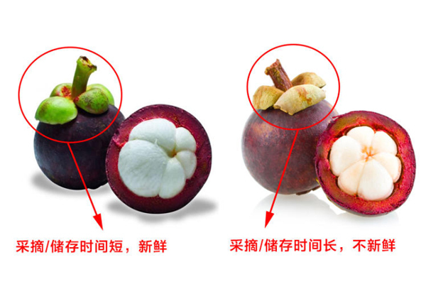 怎样判断山竹有几瓣肉,山竹怎么挑是最好的