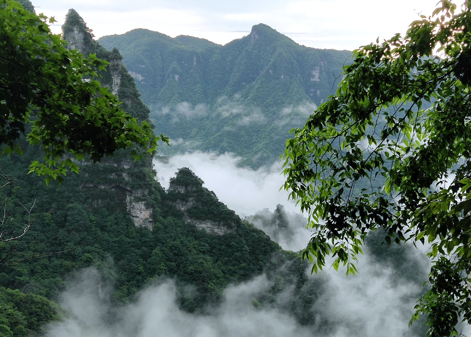 湖北网络大V宜昌五峰土家族自治县万里茶道体验之旅