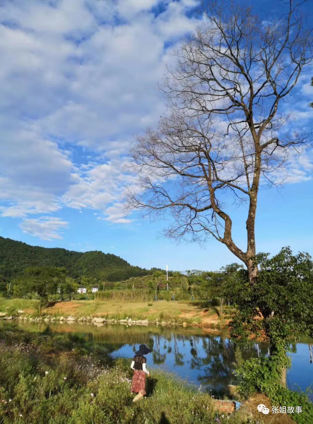 带你走进神奇的九寨,温汤镇最佳旅游时间