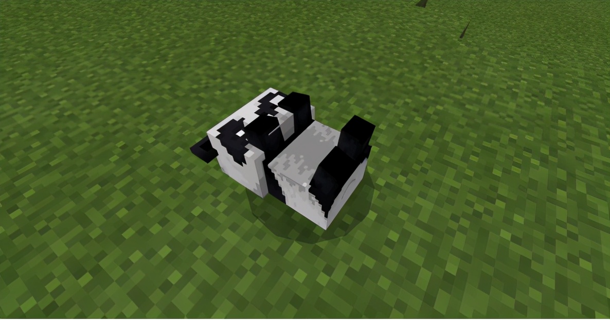 我的世界熊猫吃什么会繁殖,我的世界熊猫怎么繁育出特殊熊猫