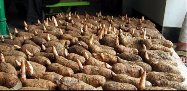 一亩地投入10万多少钱可以回本,农民一亩地只赚200多块钱