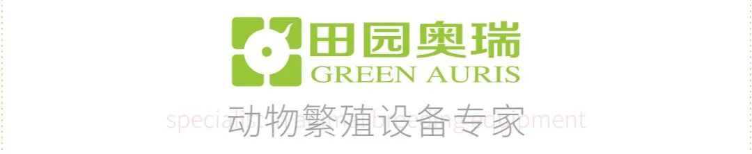 干货！猪冷冻精液人工输精操作规程