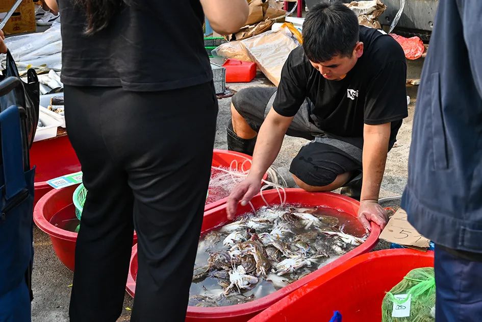 满满的烟火气逛大集真好玩,最值得逛的大集