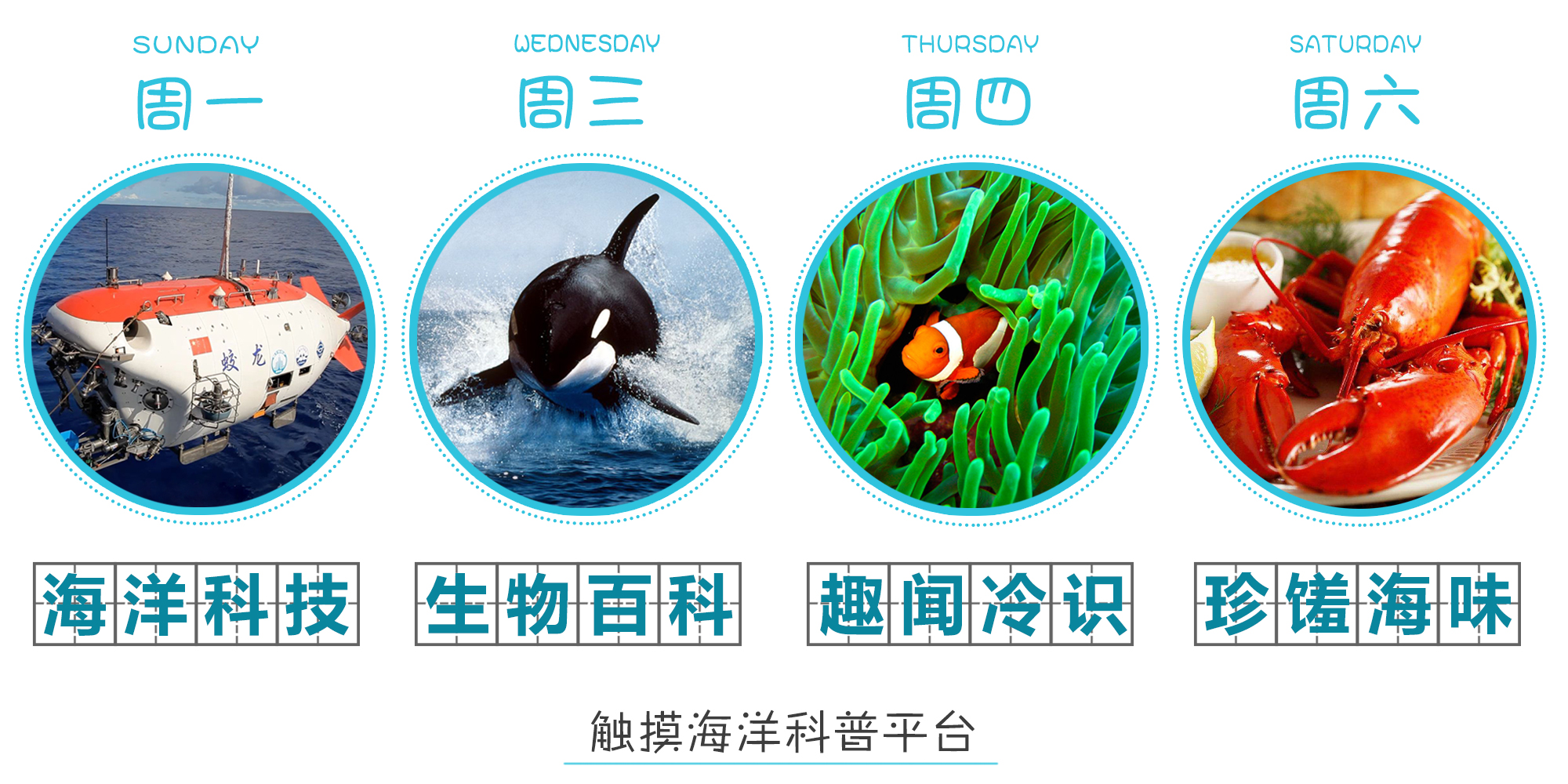 珍珠粉是公认的美白高手,珍珠粉真的能美白全身白么