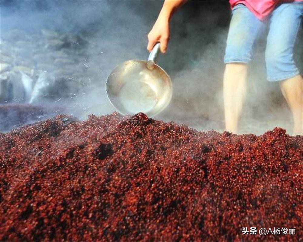 酿酒厂造酒工艺流程及注意事项,杨俊丽固态酒视频