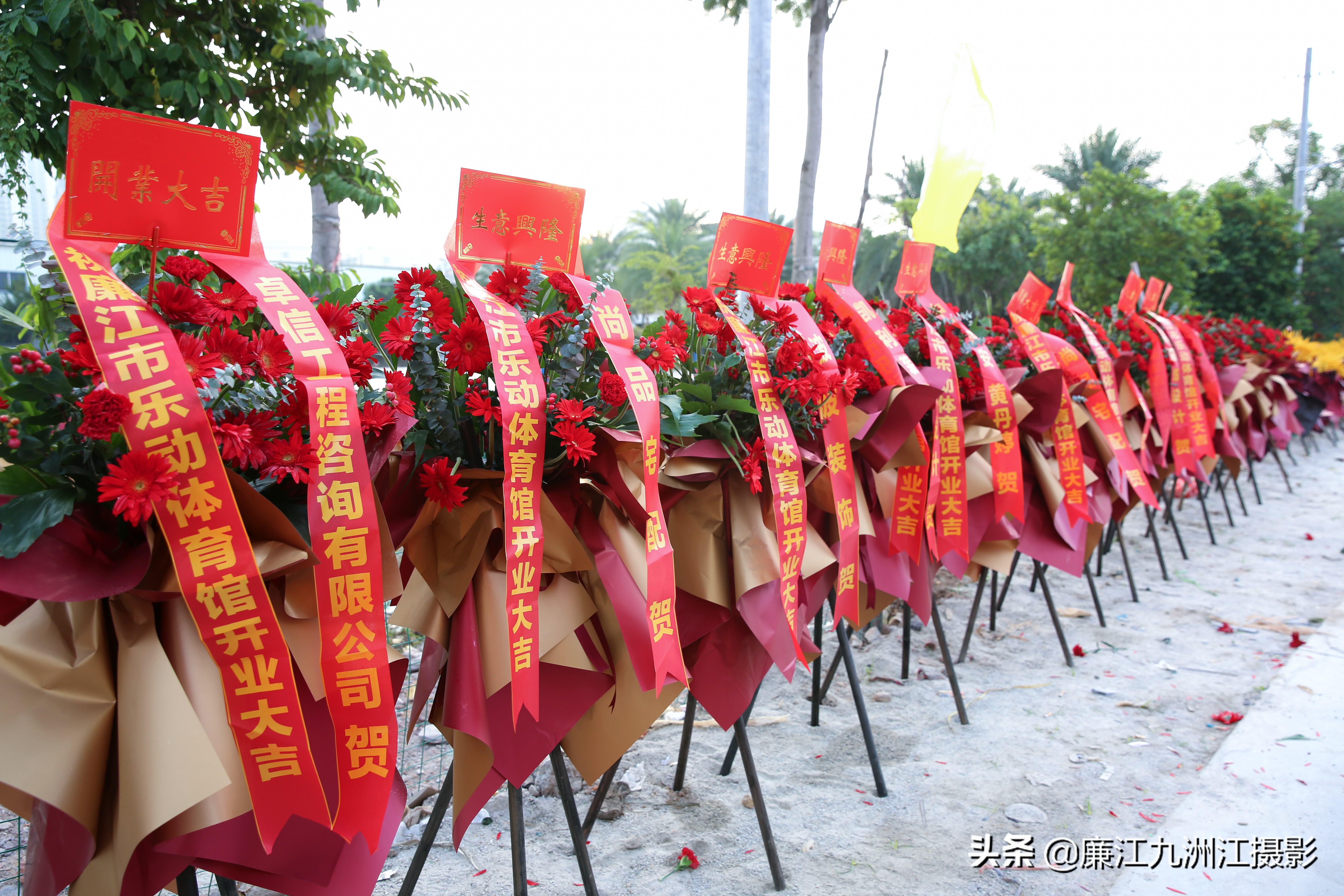 乐动篮球赛直播,廉江乐动球馆