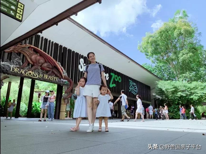 带孩子新加坡4天够玩吗,新加坡带孩子自由行几天