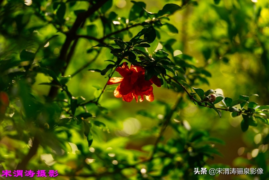 创业湖、健身绿道、仿古社区，关中这个南塬美不美