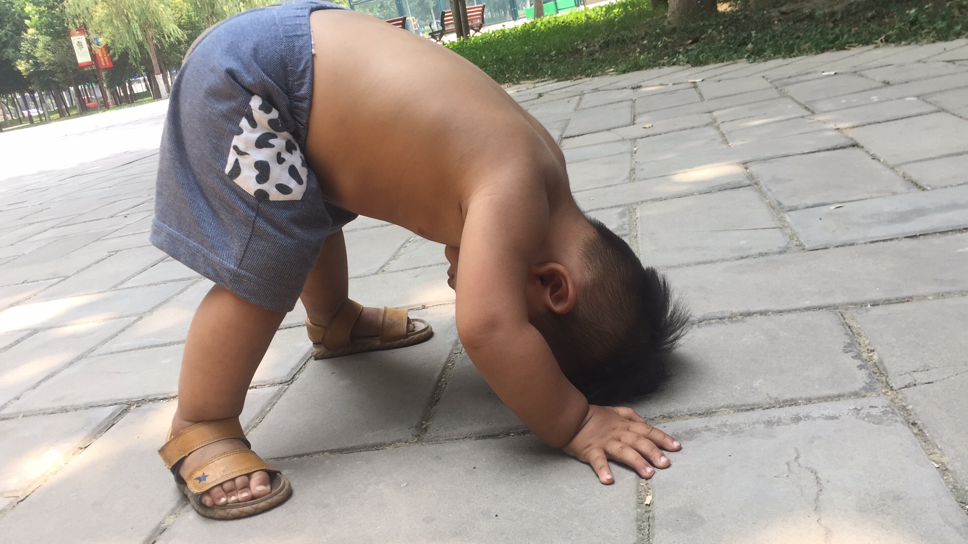 万物静观皆可自得什么意思,万物静观皆可得