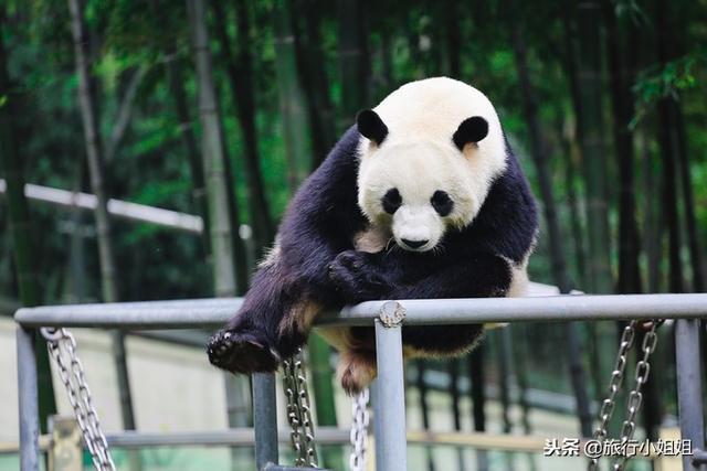 天目湖加南山竹海哪里泡温泉好,天目湖度假秘境享用绝美自然山水