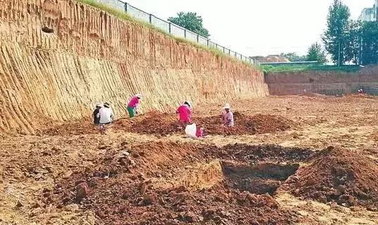 龙跟老虎哪个最厉害,龙比虎厉害为什么会在虎后面