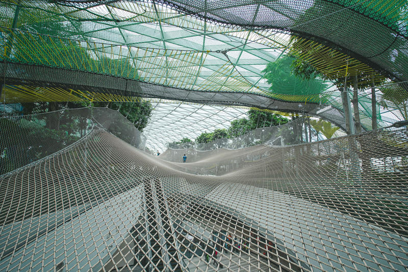 一人一猫环游,一人一猫旅行