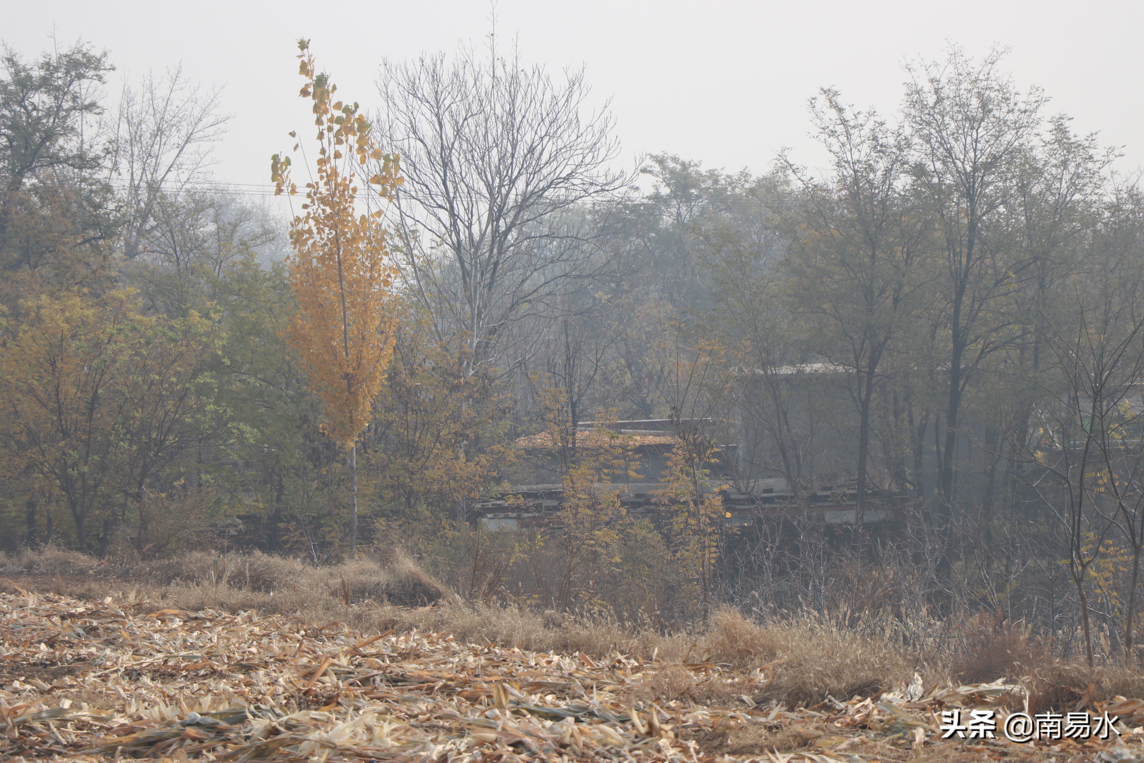 家乡风景带你一起感受自然的味道,令你难以忘怀的家乡的味道