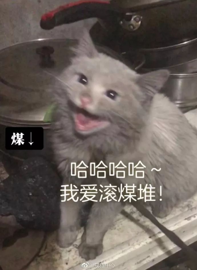 来玩个需要才华的好吧|冷段子1352去年今日995