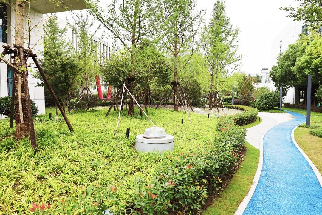 沪上“花园式”工地办公是怎样的体验？来看看这个白玉兰奖工程吧