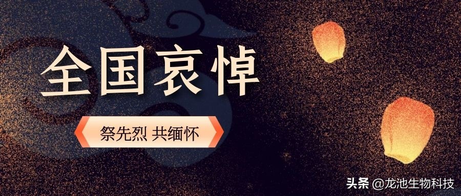 哀悼抗击疫情牺牲烈士和逝世同胞,为疫情牺牲的烈士全城鸣笛默哀