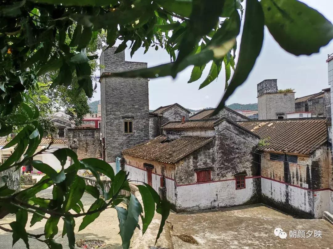 岐阳梧桐起凤环，鹭兮鹭兮寻不见（上）