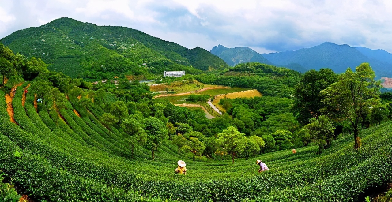 免费游云浮｜如云般洁白轻妙，浮动着向往的生活，云浮免费旅游