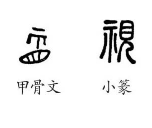 道德经中的阴阳辩证思想,道德经全书第二十九章解析