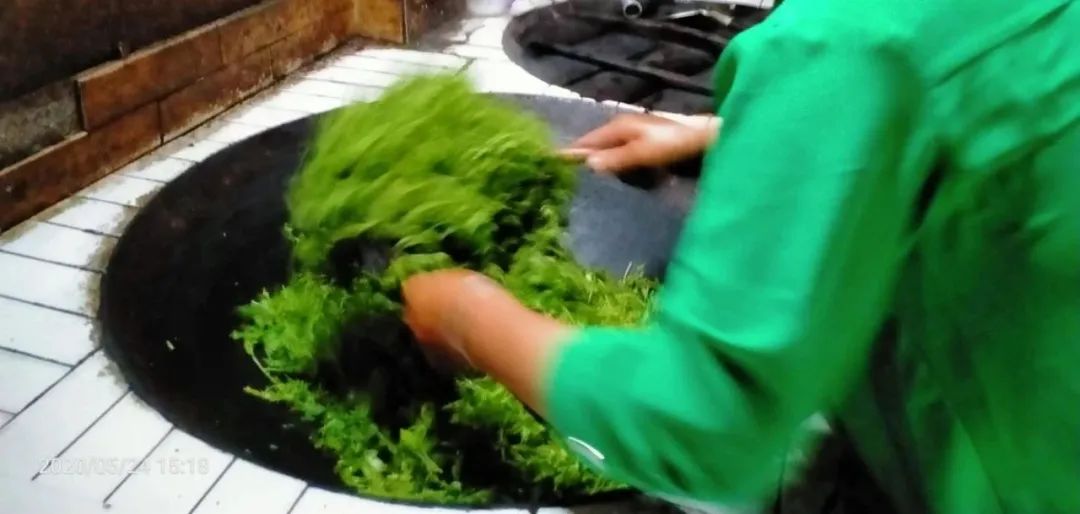 张家界的莓茶酥,张家界的莓茶是什么植物