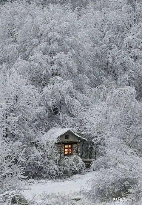 古今诗词里有哪些咏雪的诗句,十首最美咏雪诗词