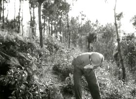 张勇手倪萍剧照,张勇手与夫人图片