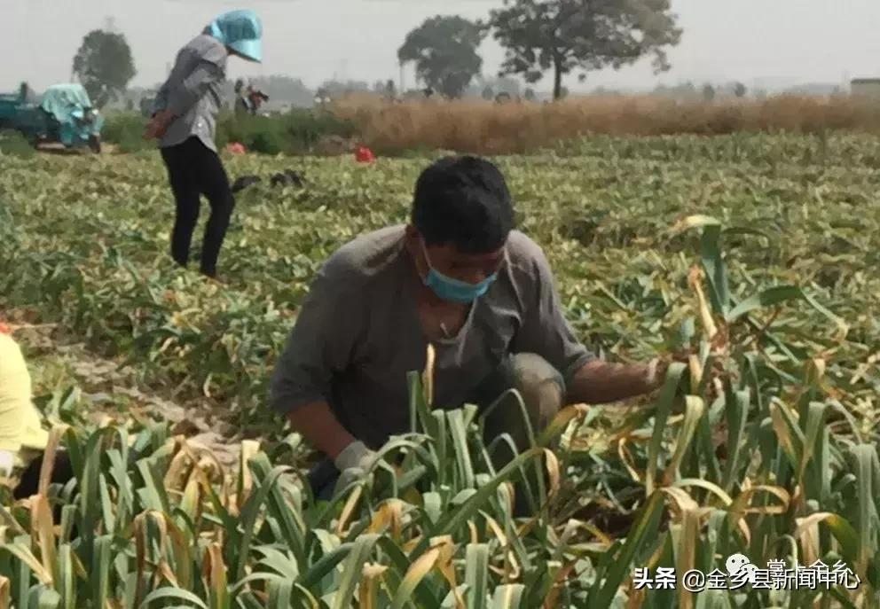 红五月邀请函,红色主题邀请函