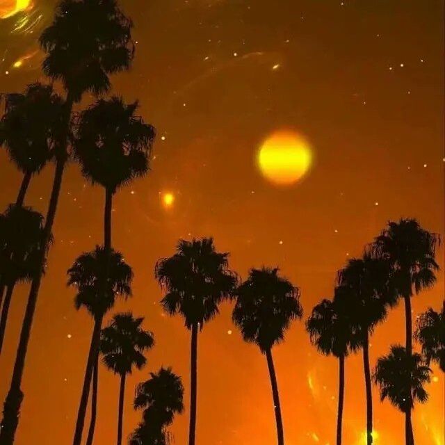 有趣的锁骨千篇一律,好看有趣的锁骨