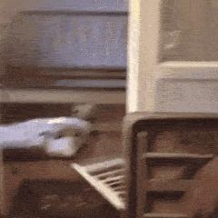 愚人节防套路指南搞笑,每日一笑那些笑疯的神操作