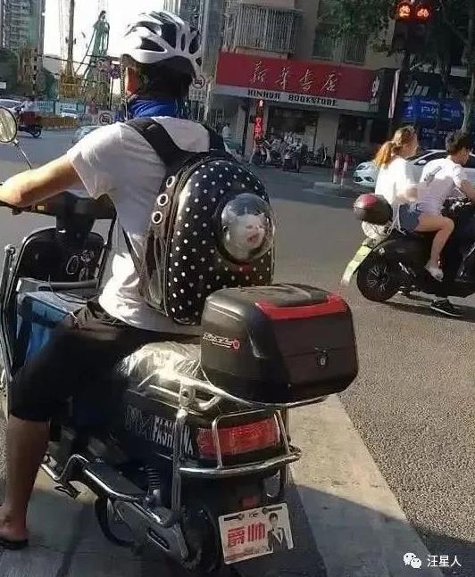 一名外卖小哥特别引人注意，因为他的后座位上总有只…