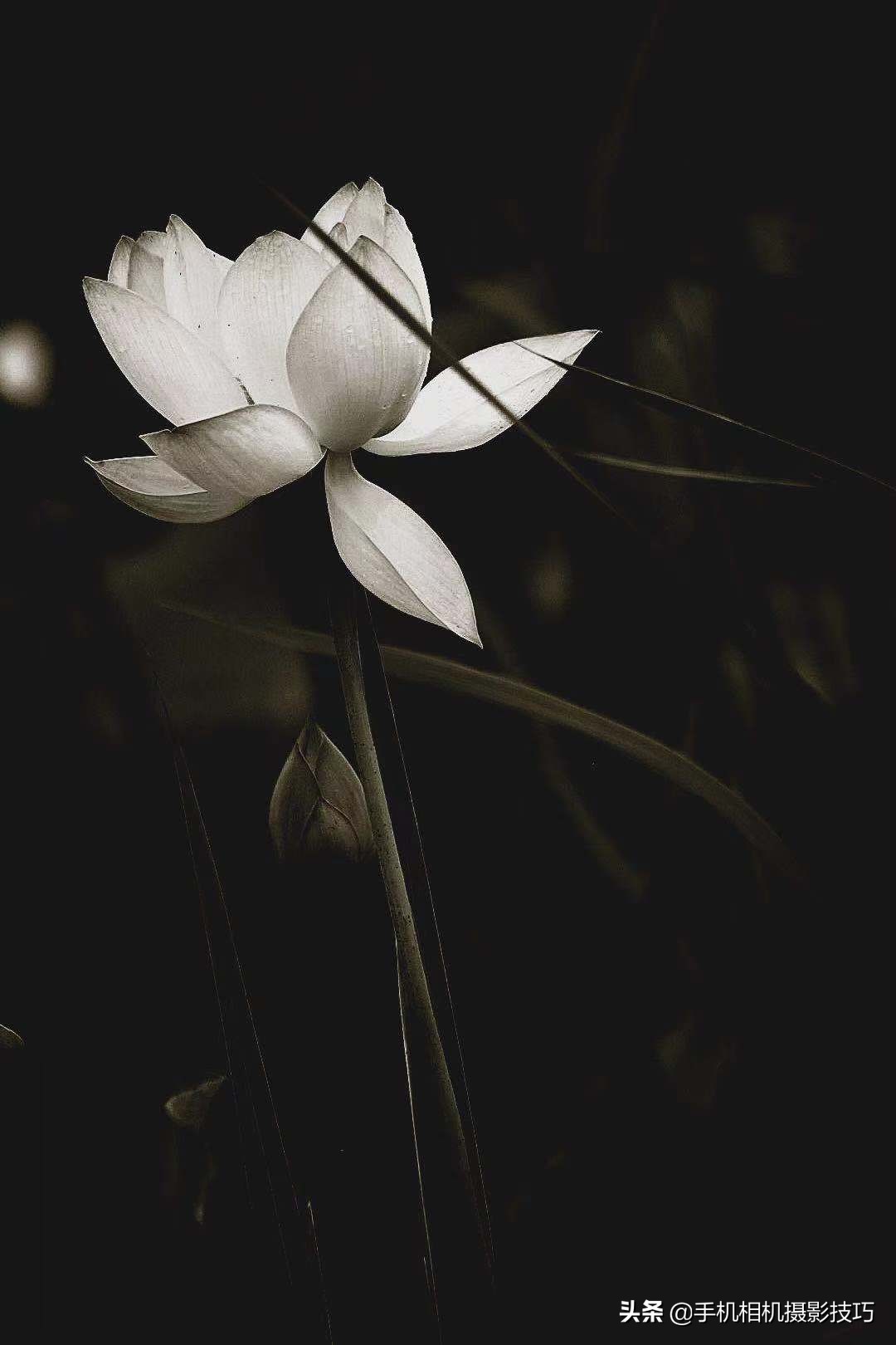 普通人如何拍出比较好看的照片,16张普通人拍出来的好照片