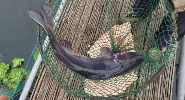 忠县美食真实推荐,中国忠县美食篇