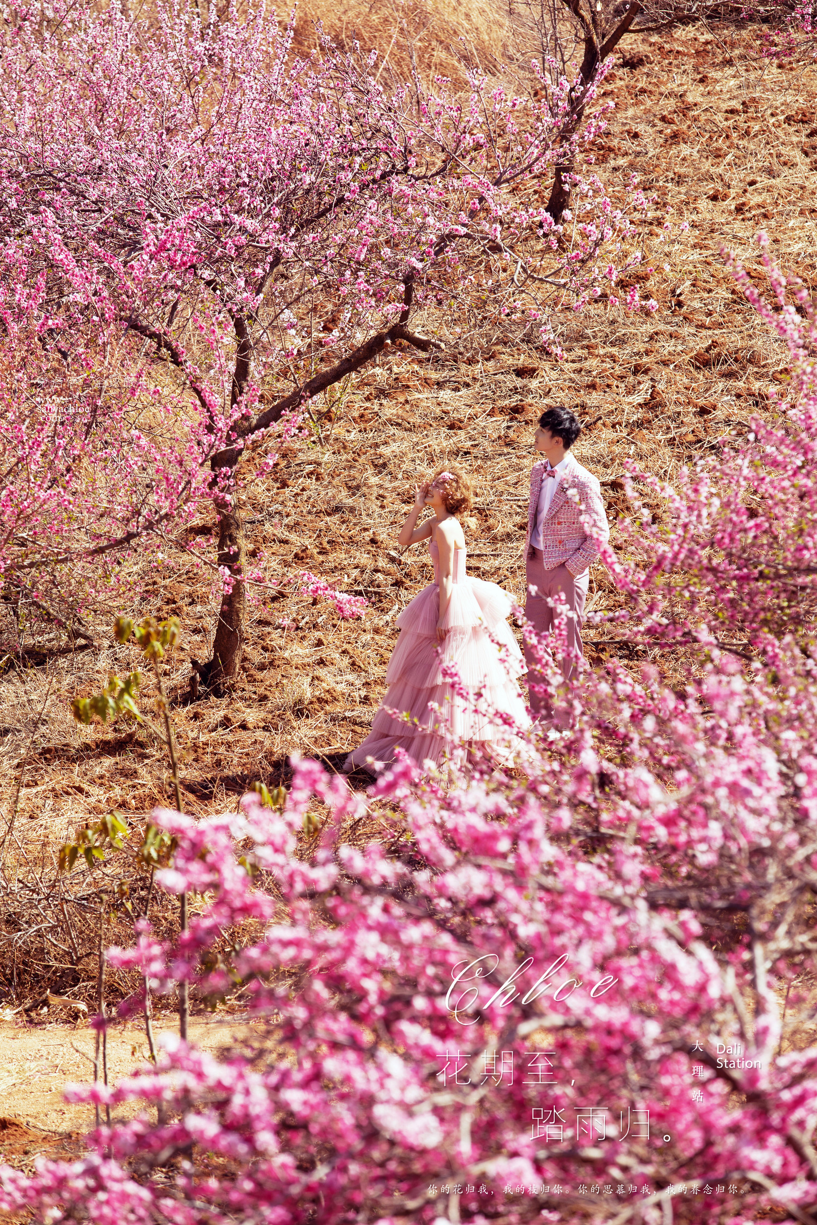 婚纱照风格推荐爱情,喜嫁风格婚纱照太好看了