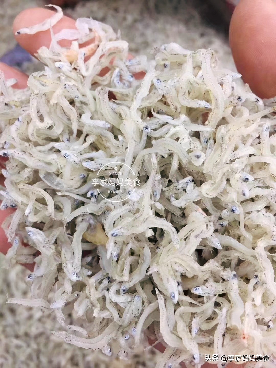 冬季海鲜推荐平价海鲜,便宜又好吃的冷门海鲜