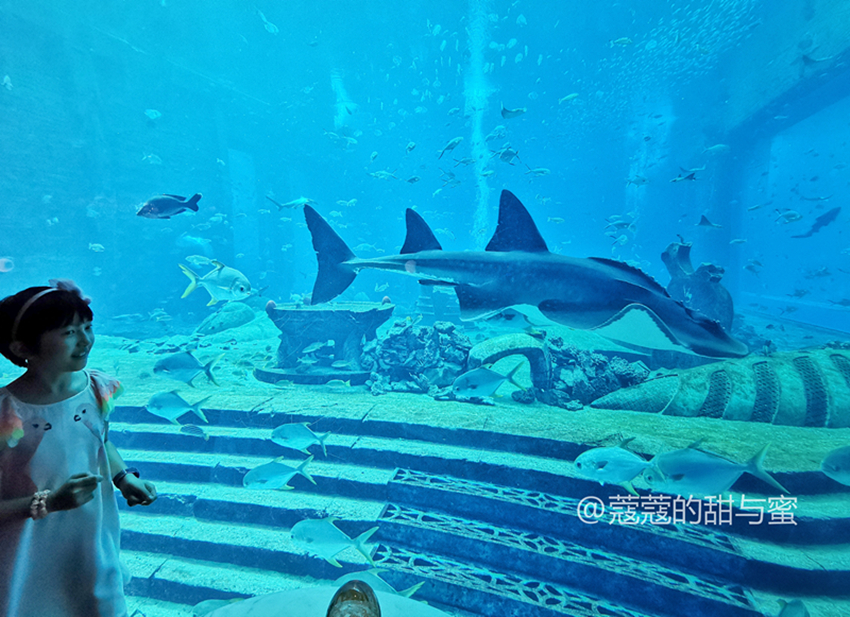 三亚亚特兰蒂斯攻略自由行五天,三亚七天自由行攻略亚特兰蒂斯