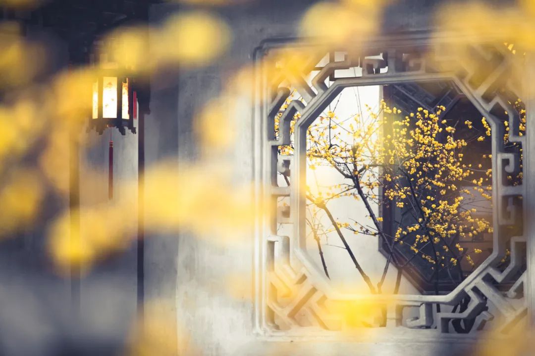 苏州真正的烟雨江南在哪里,江南烟雨苏州古城