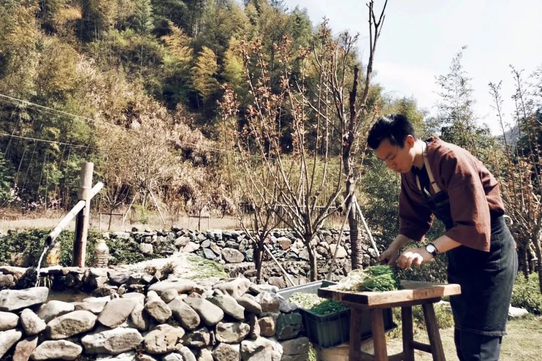 民宿管家招募,民宿管家点亮乡野生活的魔法师