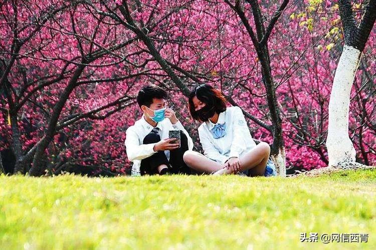 天津新开放的公园,天津水西公园现在恢复开放了吗