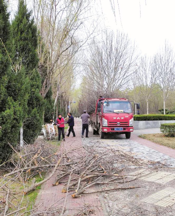 看花海何必去远方？宝鸡这幅“画卷”将让你感受诗情画意