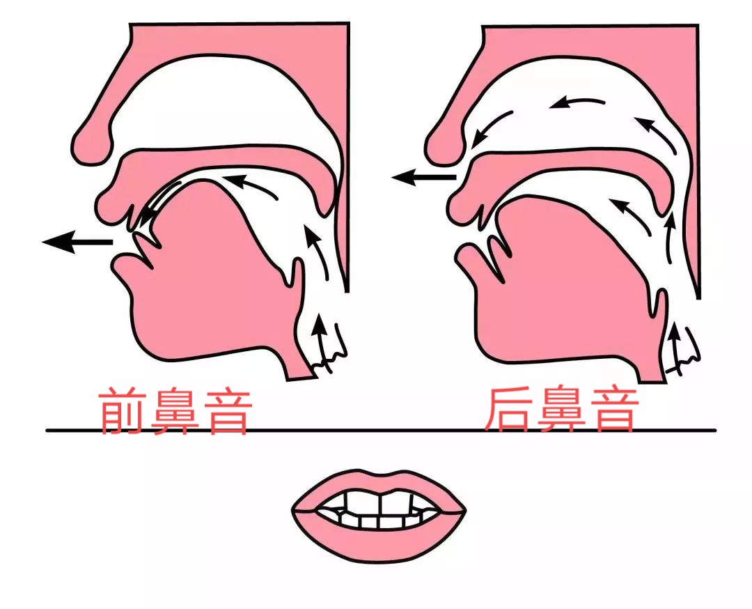 怎么知道用前鼻韵母还是后鼻韵母,前鼻韵母un和后鼻韵母ong区别教学