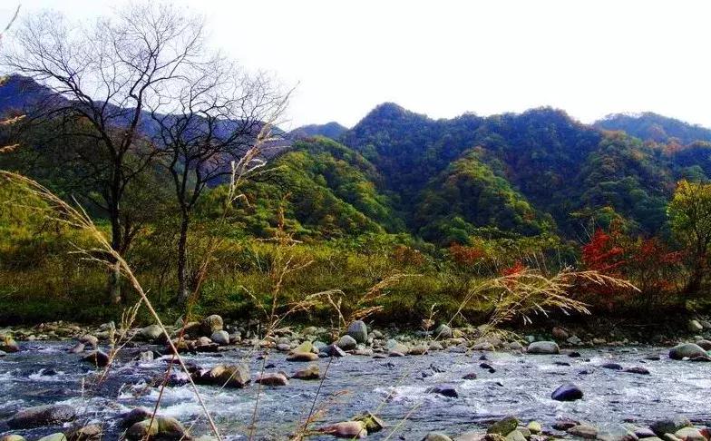 顶级翡翠玉石品种,不输翡翠的小众玉石