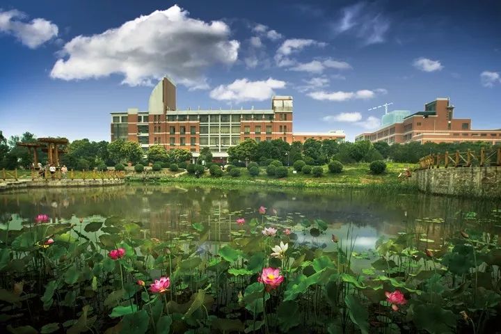 河南理工大学110周年直播,河南大学110周年生日快乐