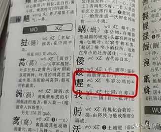 拼音o的正确读音是嗷还是喔,o的发音对应的汉字是哦还是喔