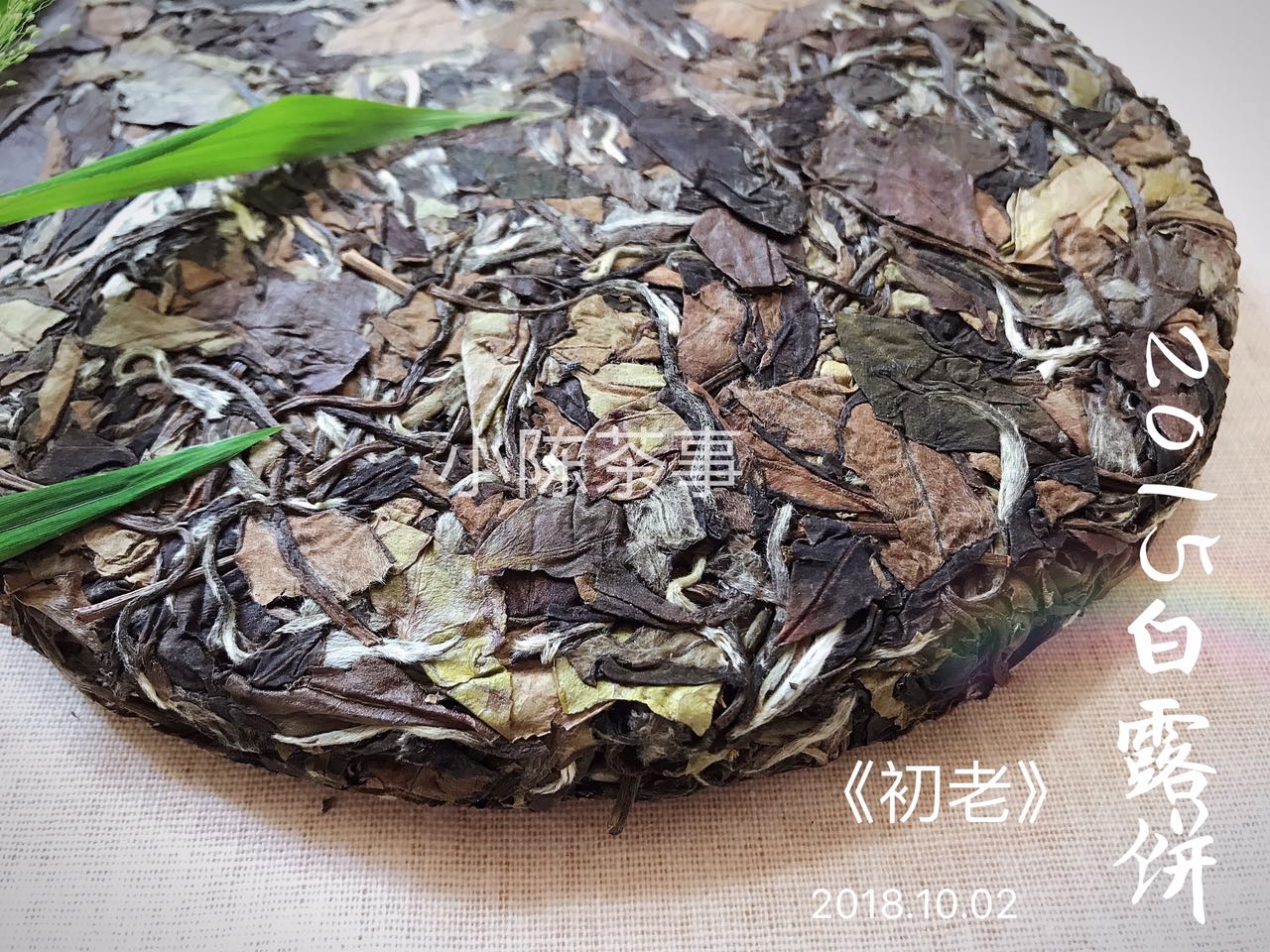 新手入门老白茶如何选,老白茶干货知识